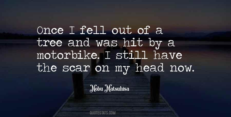 Fell Out Quotes #1482409