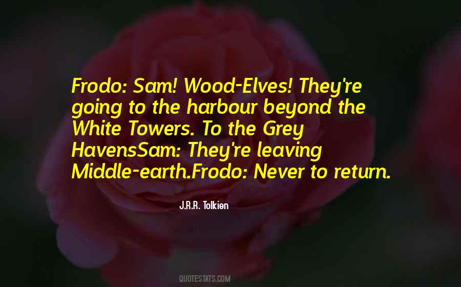 Fellowship Of The Ring Frodo Quotes #1123529