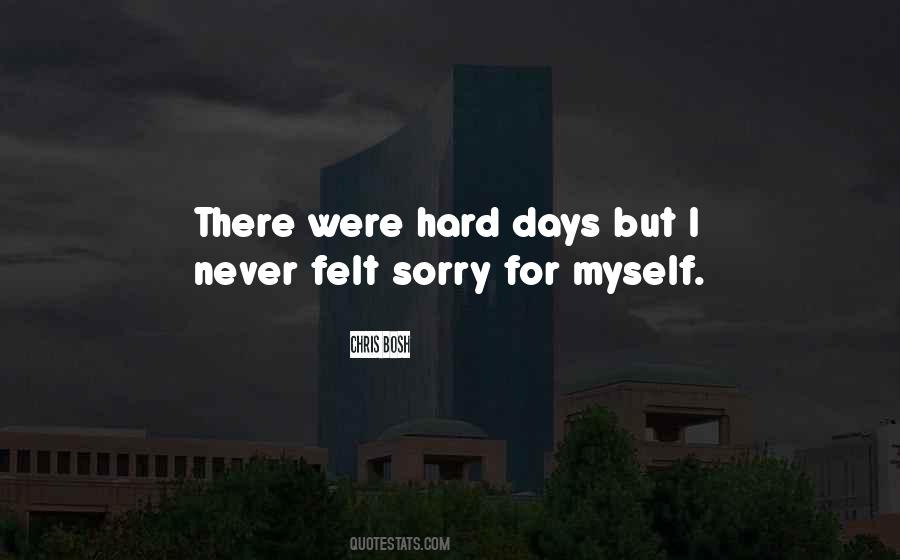 Felt Sorry Quotes #1246618