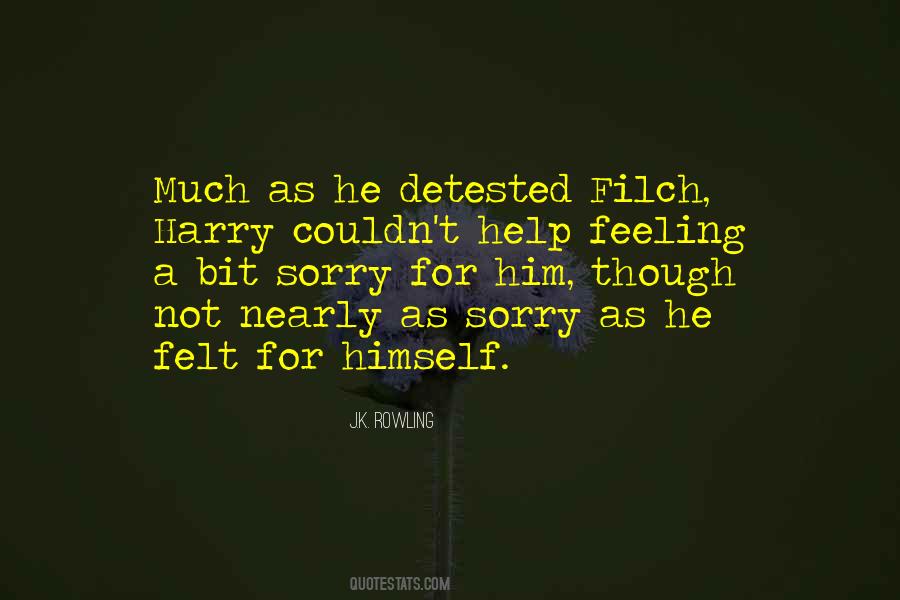 Felt Sorry Quotes #313579