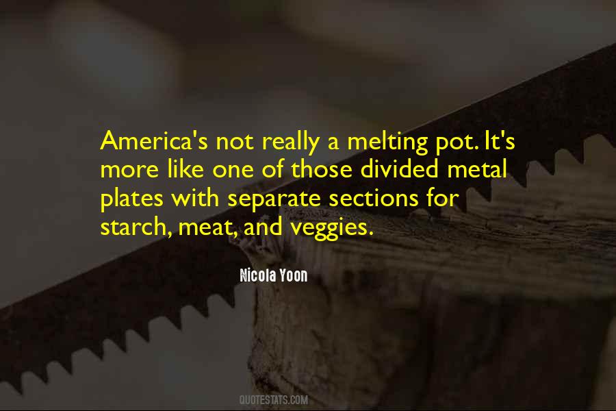 America Is Divided Quotes #1321090