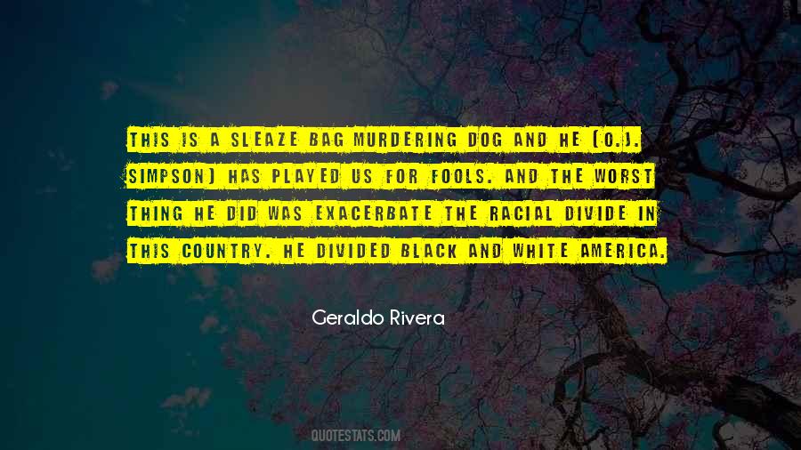 America Is Divided Quotes #1418548