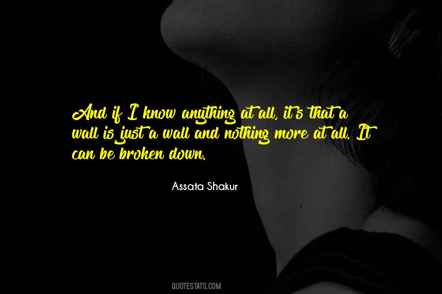 I Know Nothing At All Quotes #1737525
