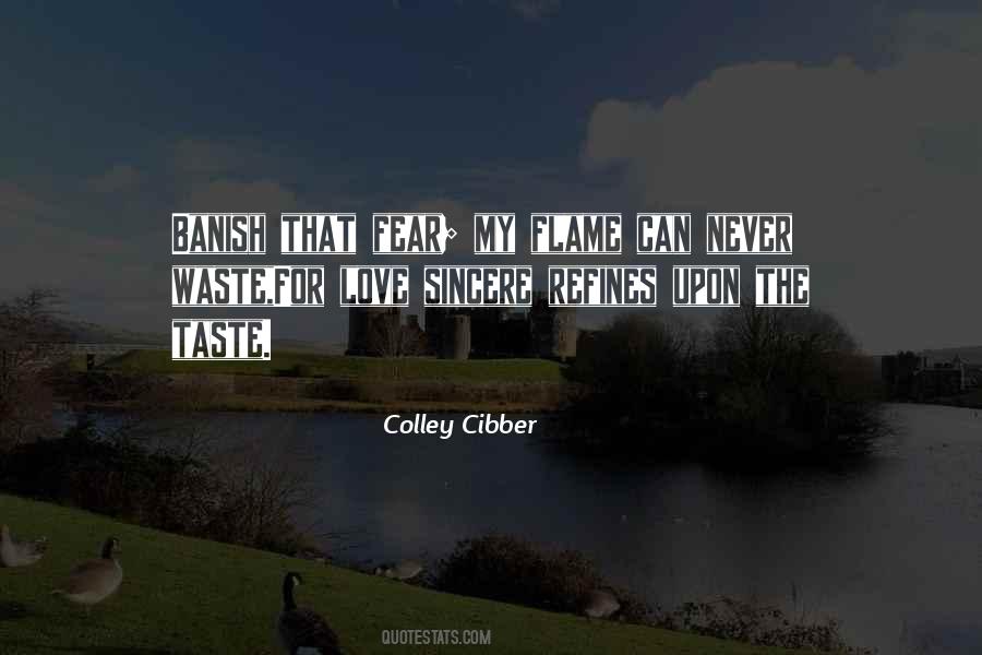 Never Be Sincere Quotes #984279