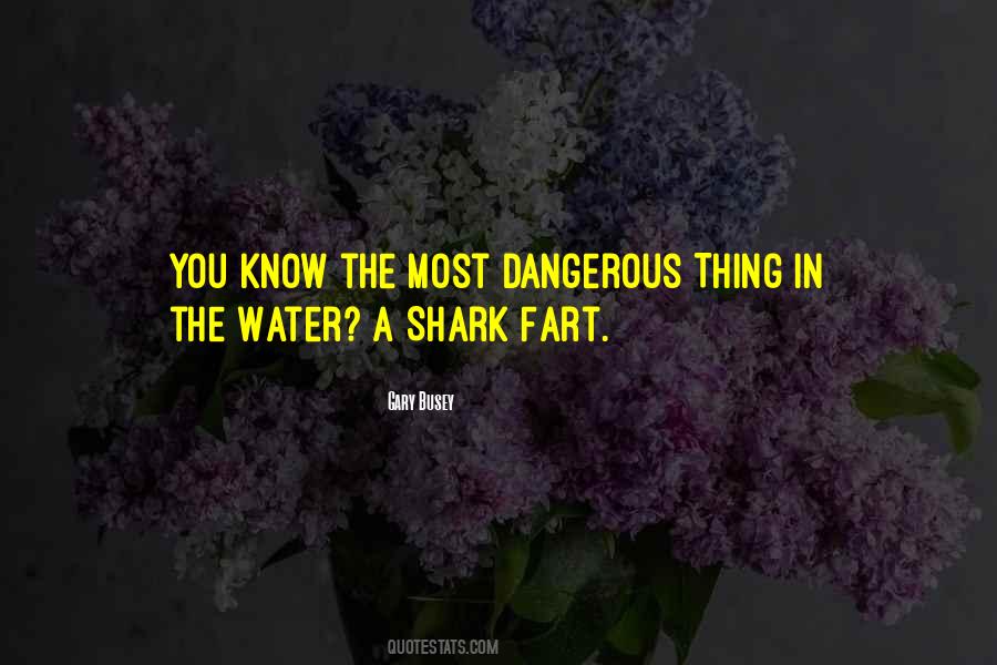 Dangerous Water Quotes #542790