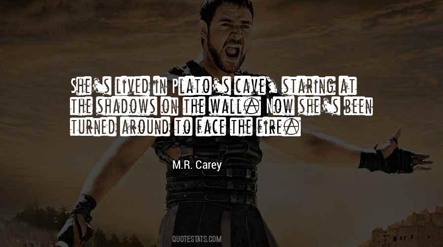 Staring At The Wall Quotes #1147035