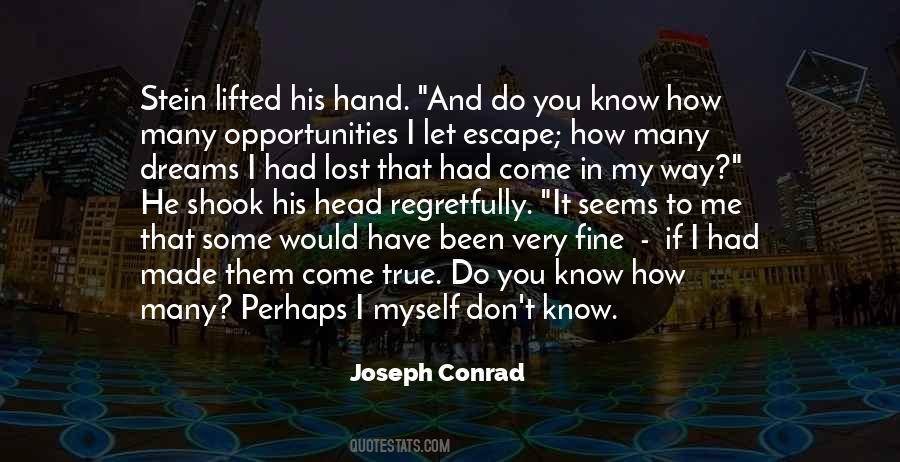 Quotes About Opportunities To Come #725657