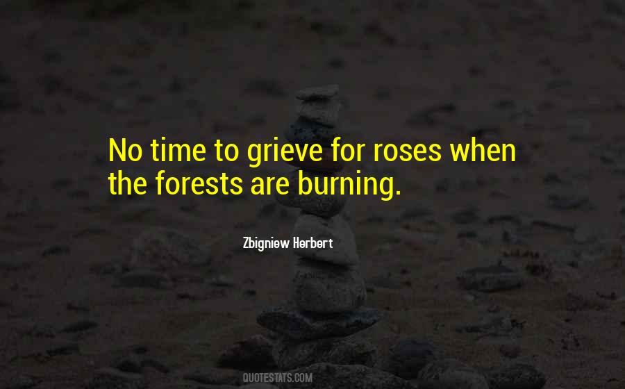 Time Grieving Quotes #1501720