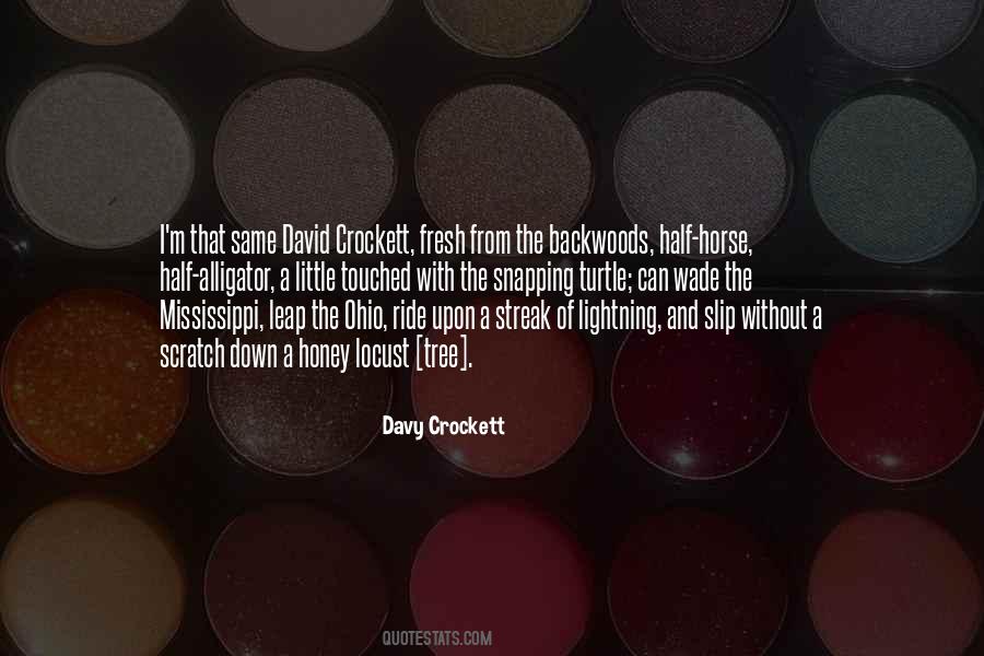 Little Tree Quotes #1505768
