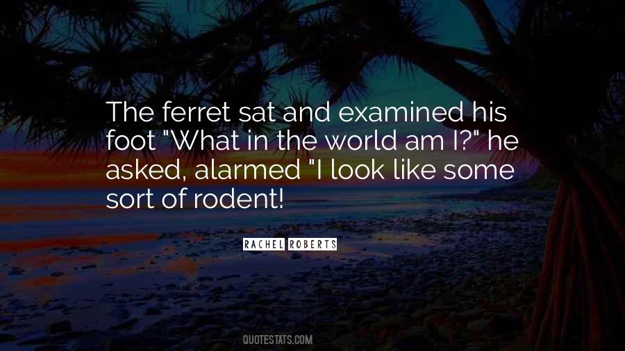 Ferret Quotes #937645