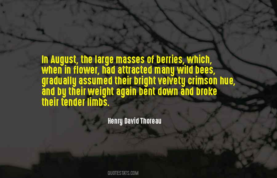 Wild Summer Quotes #1028988