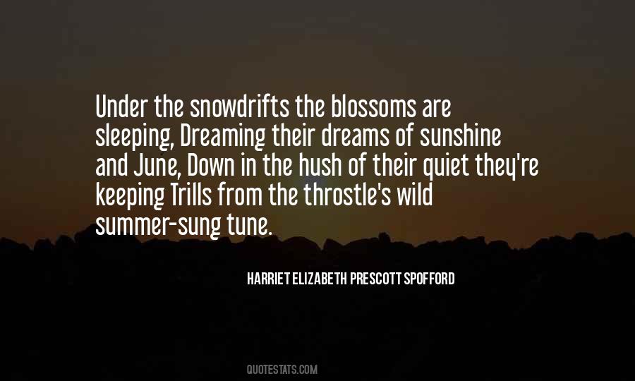 Wild Summer Quotes #1044921