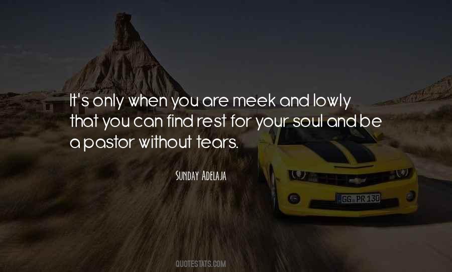 For Your Soul Quotes #1225605