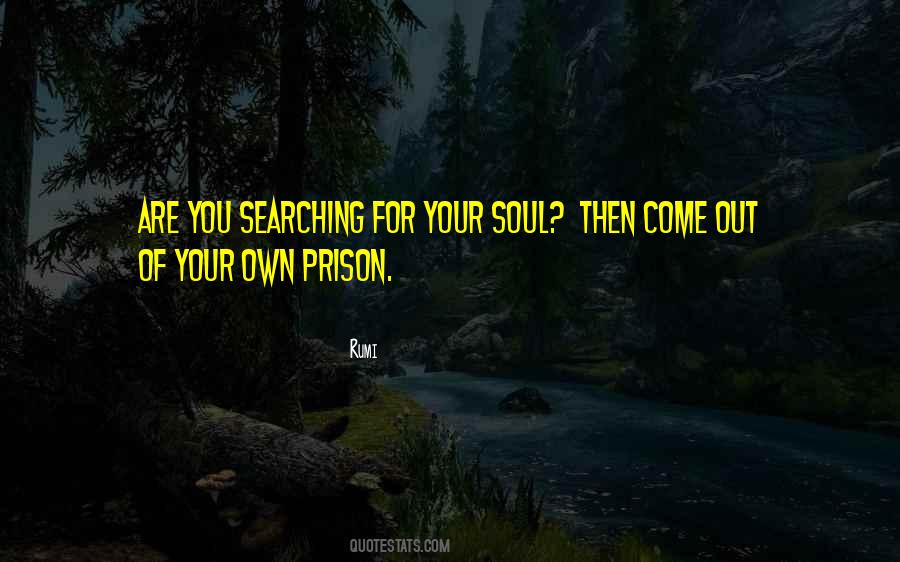 For Your Soul Quotes #868922