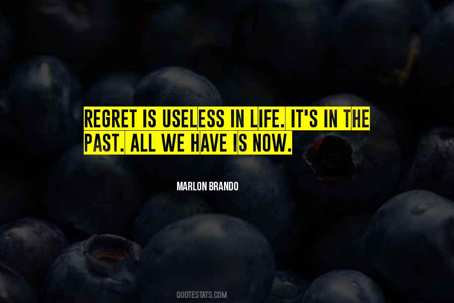 Regret Past Quotes #197946