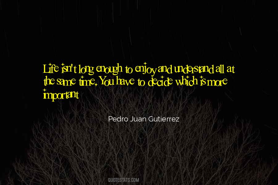 Enjoy The Life You Have Quotes #1075488
