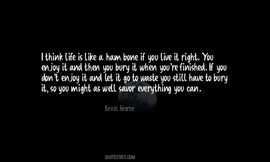 Enjoy The Life You Have Quotes #929225