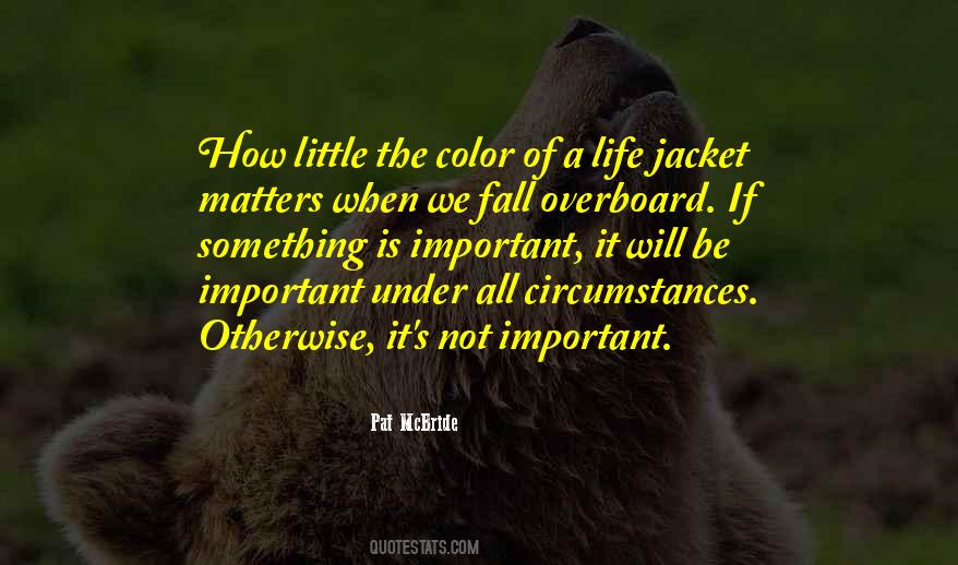 The Color Of Life Quotes #1812240