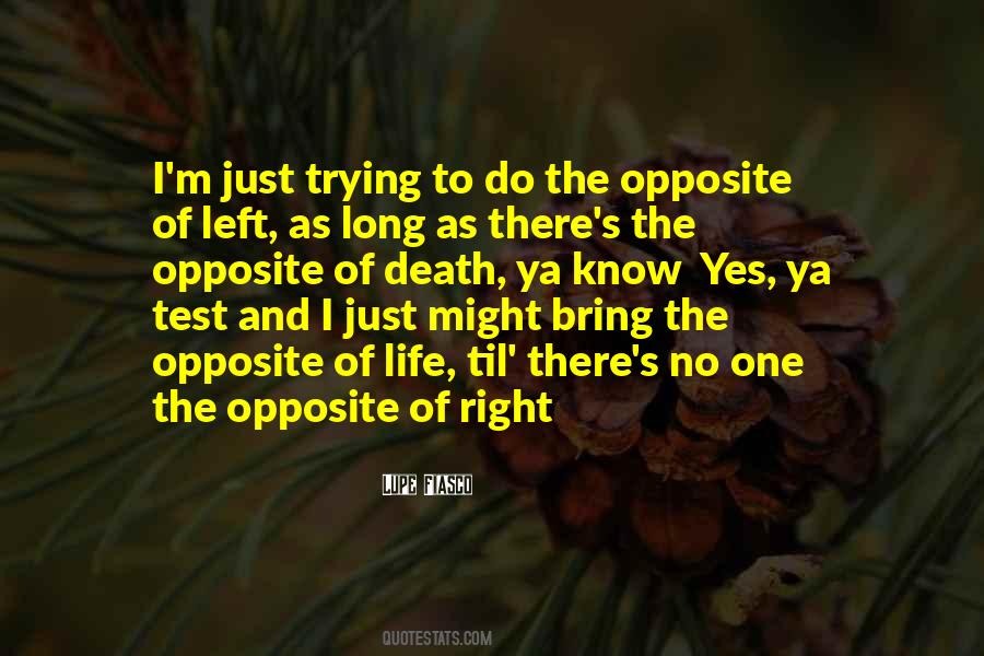 Fiasco Quotes #979001