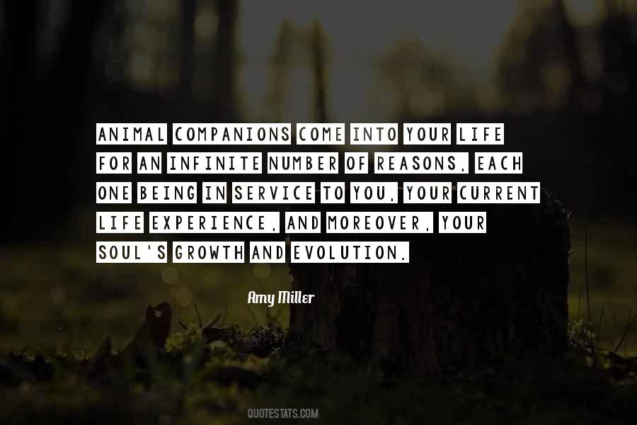 Kindness Animal Quotes #1188433