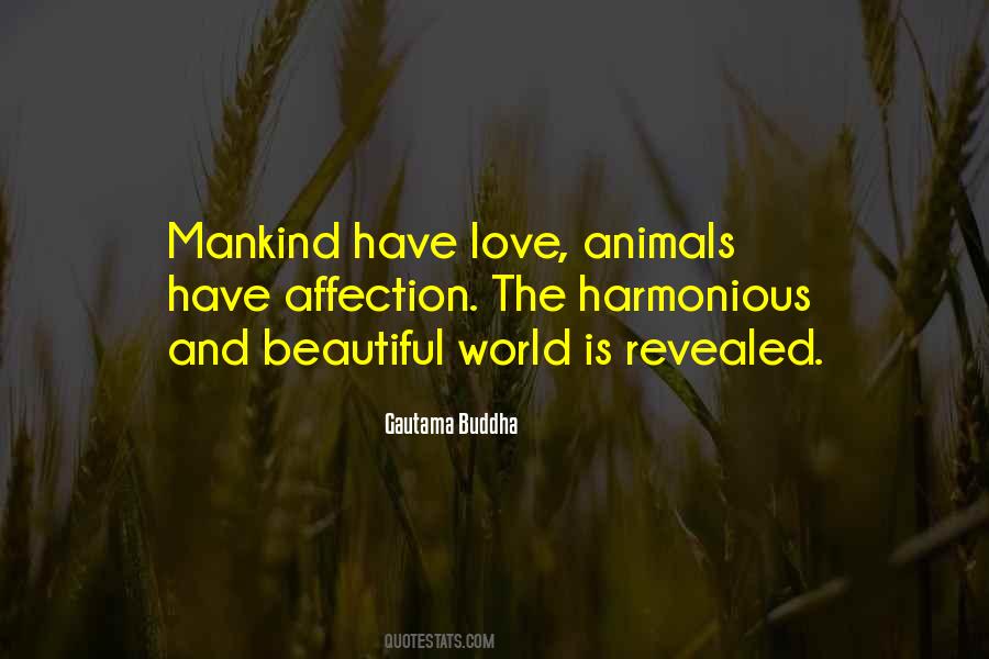 Kindness Animal Quotes #601214