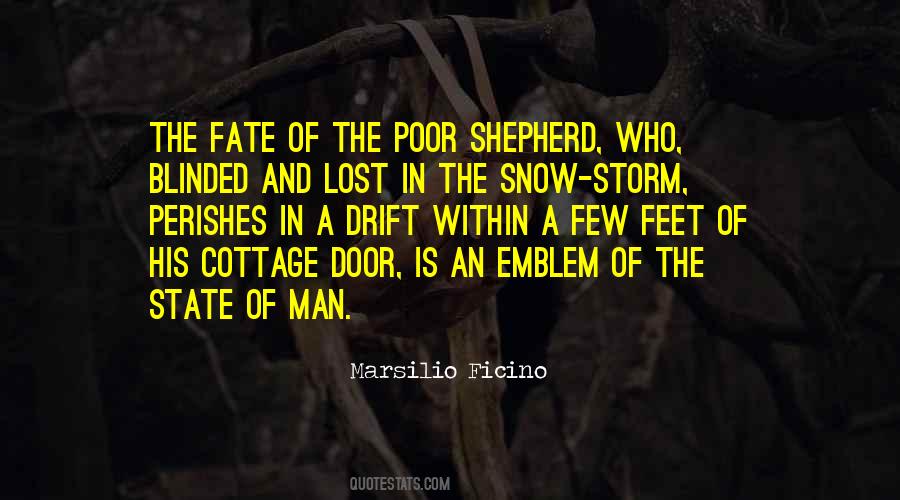 Ficino Quotes #935938