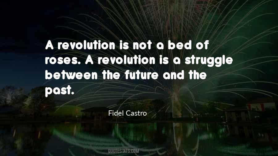 Fidel Quotes #167086