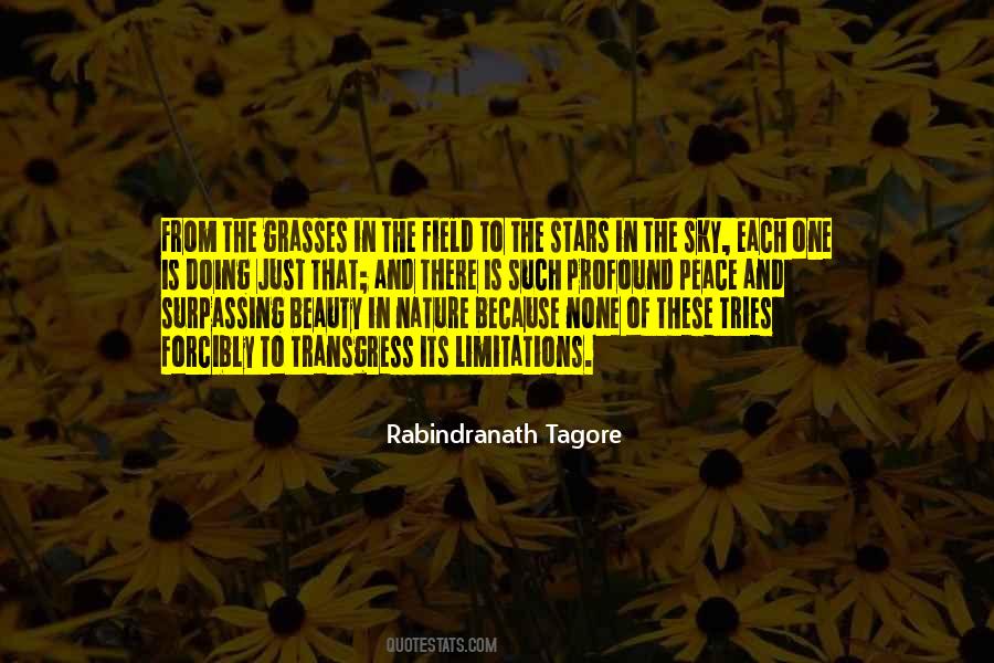 Beauty Of The Sky Quotes #565354