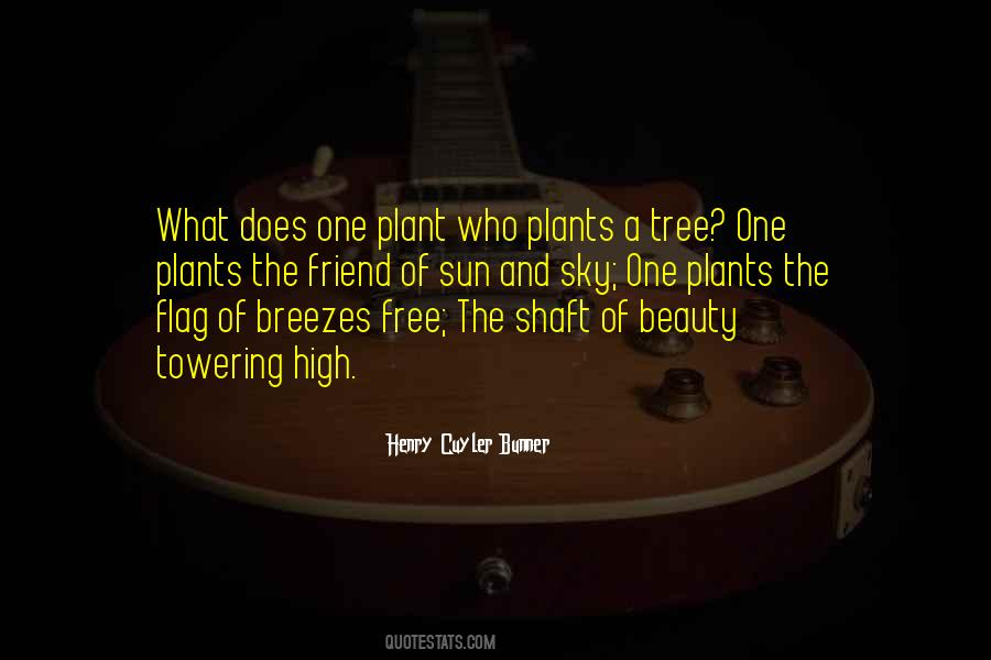 Beauty Of The Sky Quotes #965930