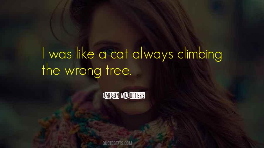 Cat Climbing Quotes #1197631