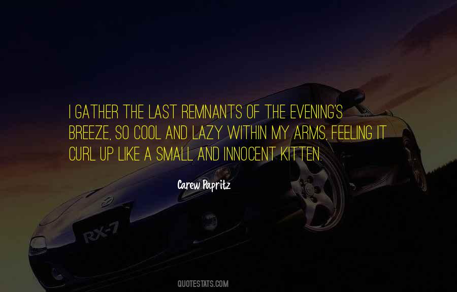 The Cool Breeze Quotes #758217