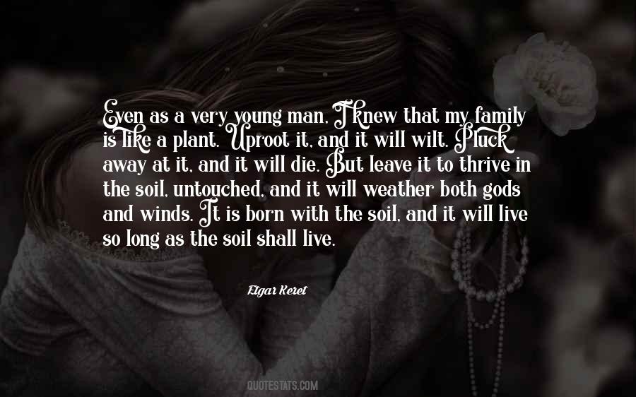 Plant Family Quotes #1205912