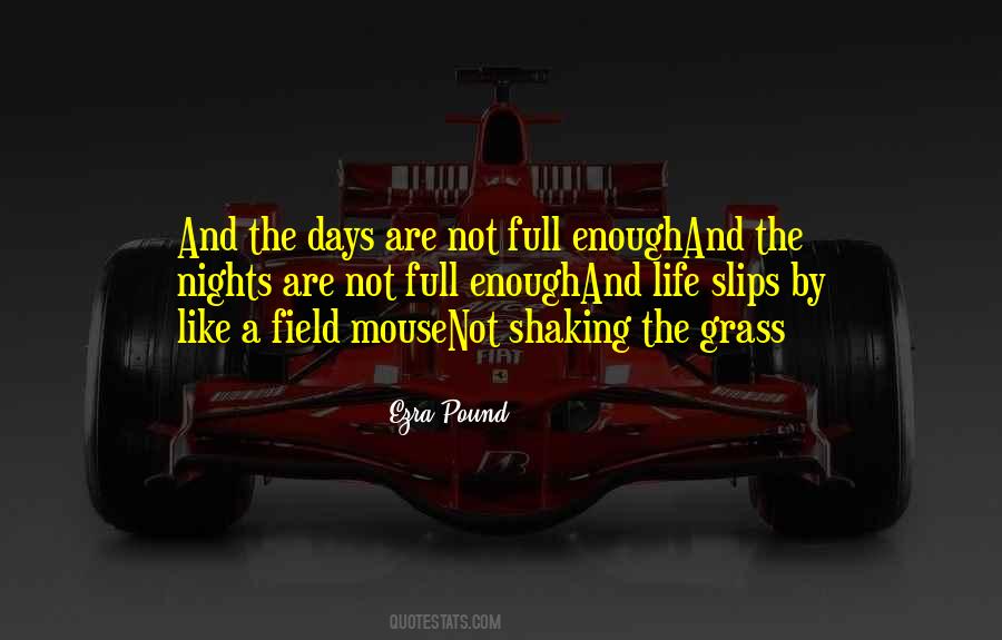Field Grass Quotes #227559