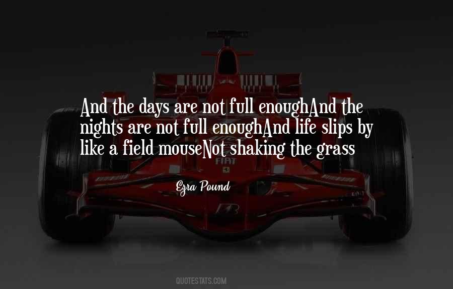 Field Mouse Quotes #227559