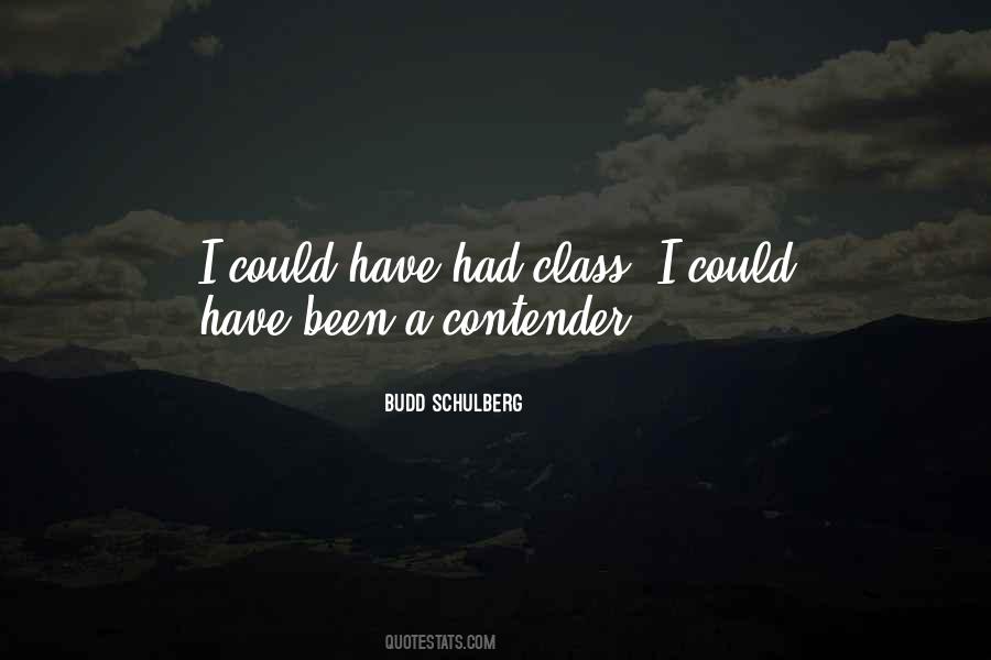 I Could Have Been A Contender Quotes #719437