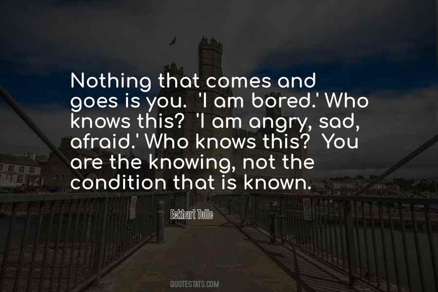 Am Not Angry Quotes #532502