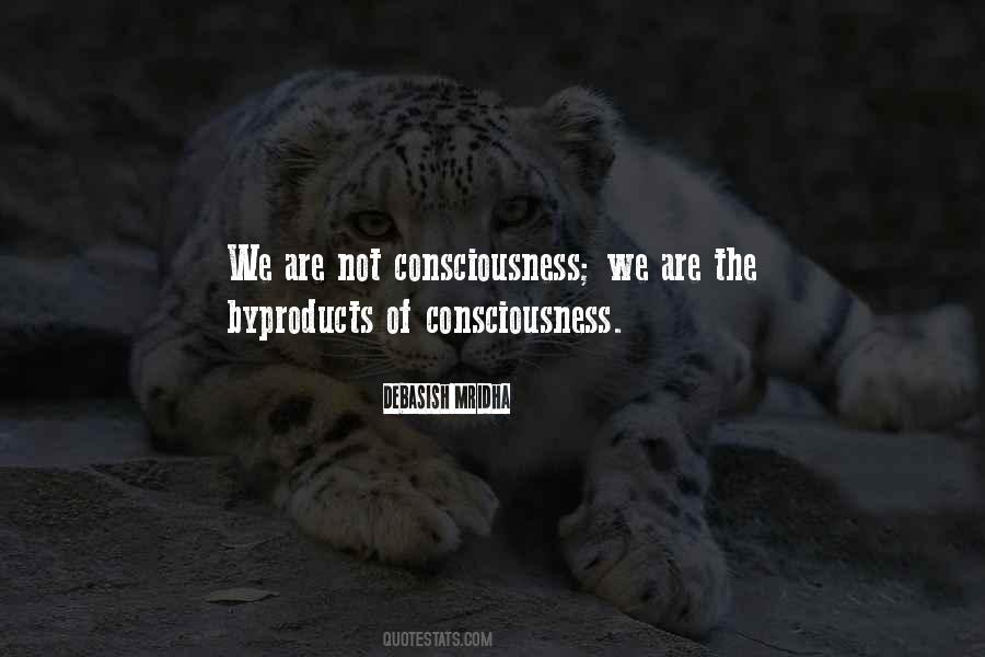 Consciousness Philosophy Quotes #925336