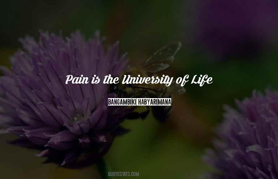 Quotes About Life Painful #714105