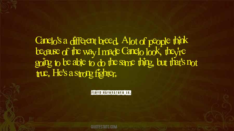 True Fighter Quotes #1433844
