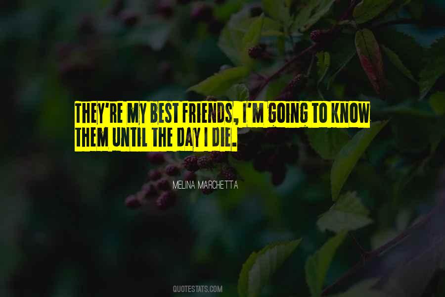 The Amazing Maurice Quotes #1096666
