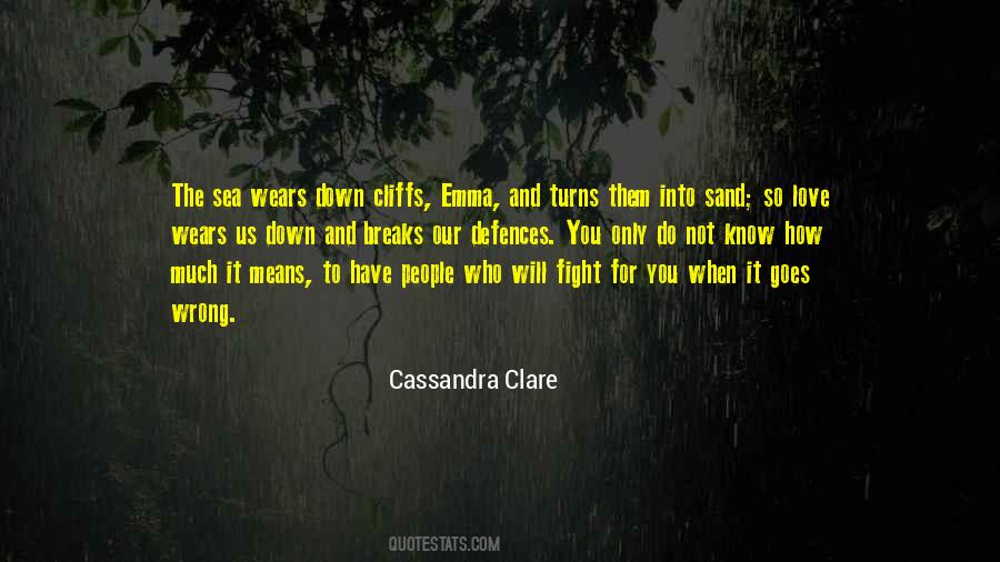 Fight For Our Love Quotes #1830562