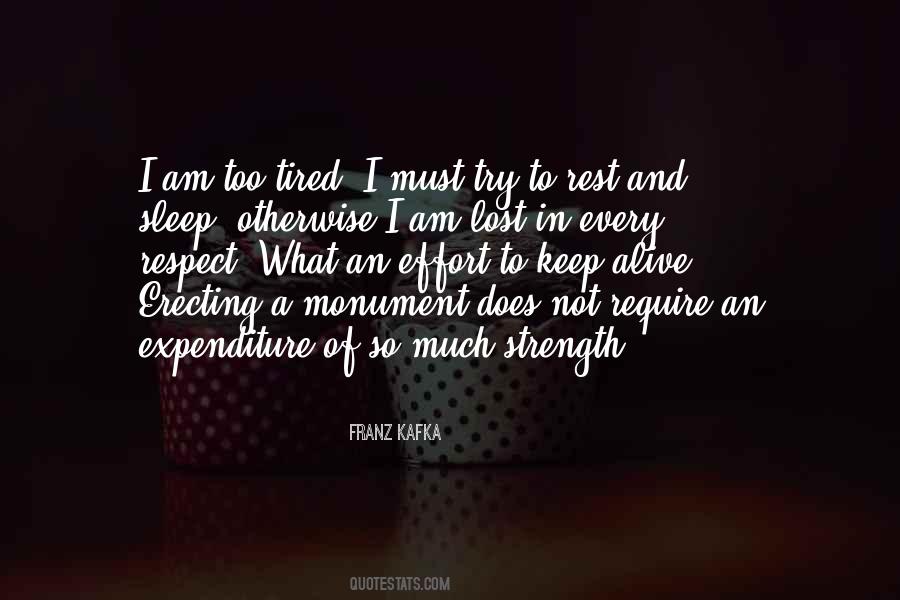 Too Much Respect Quotes #1563999