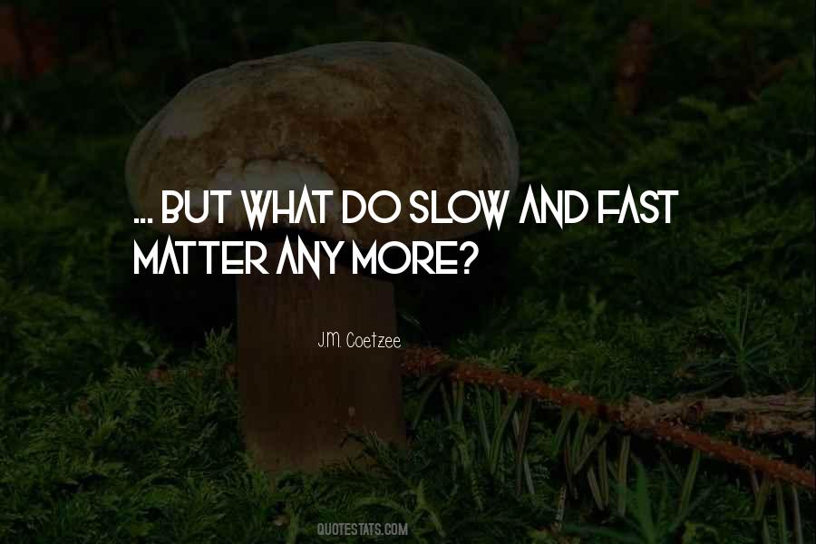 Fast And Slow Quotes #1258211