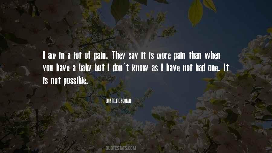 Lot Of Pain Quotes #1806530