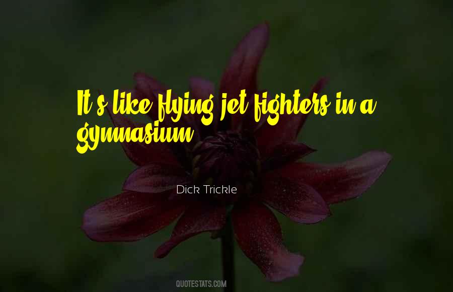 Fighter Jet Quotes #756893