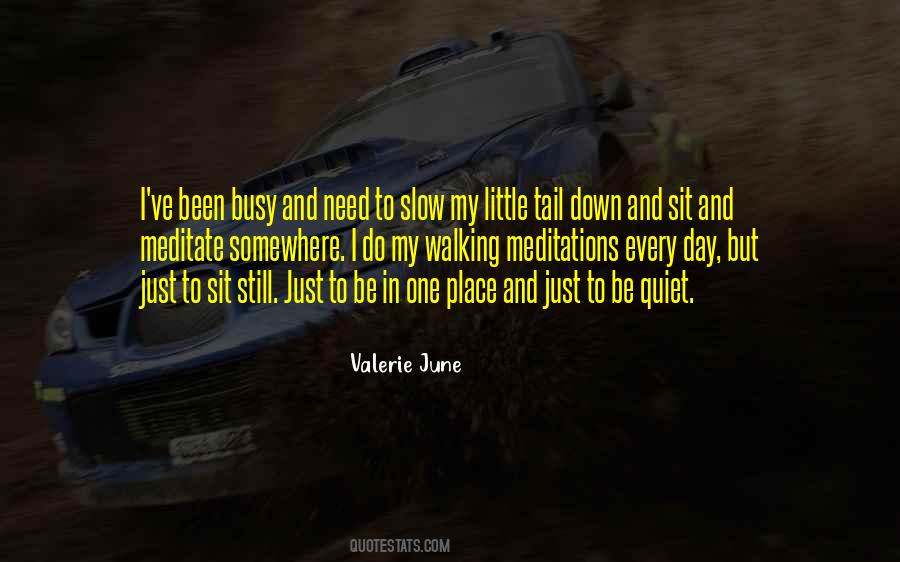 I Need To Slow Down Quotes #1654925