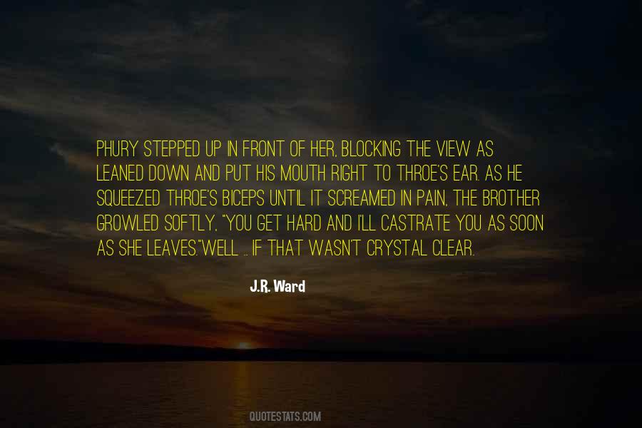 Brother Up Quotes #419686