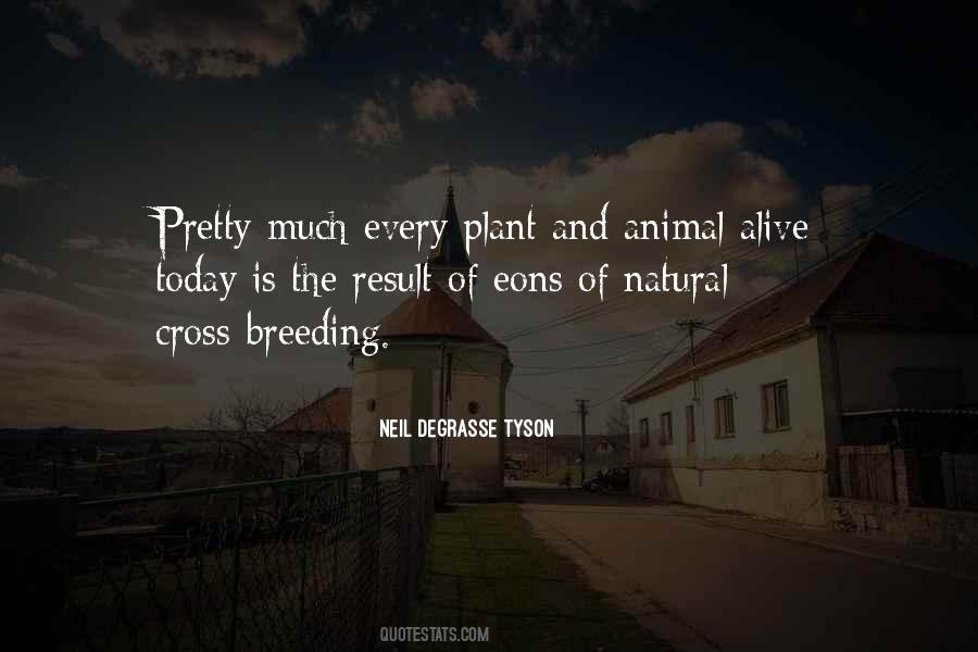 Plant Today Quotes #854826