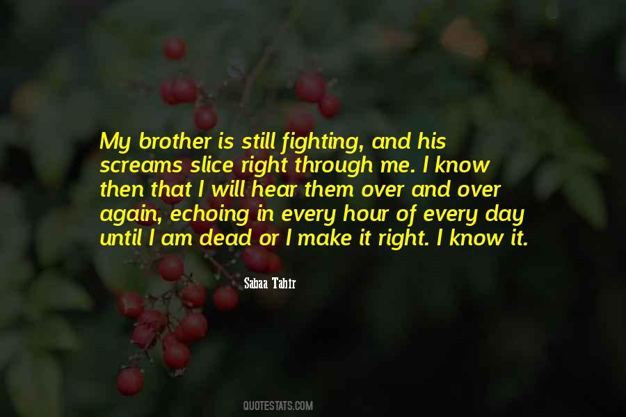 Fighting With Brother Quotes #192250