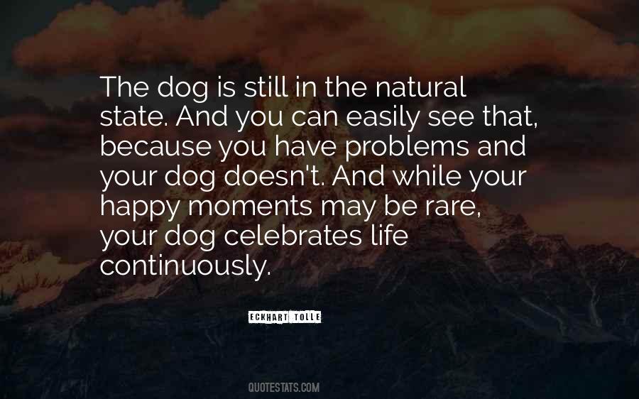 You Can Still Be Happy Quotes #788361